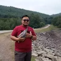Andi